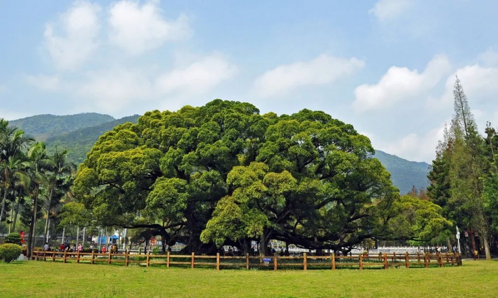 Action｜福州，邀你进组！