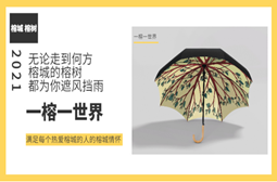 《一榕一世界》